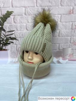  :      (2-6 ) . 1553973