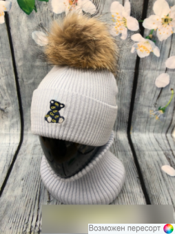  :    (2-6 ) . 1525077