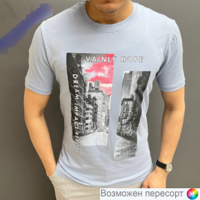 Футболка мужская арт. 1495418