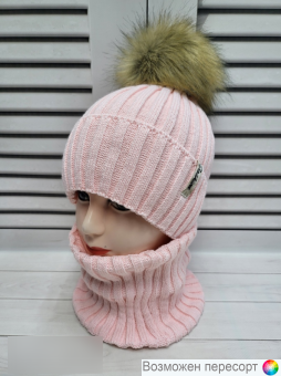  :      (5-15 ) . 1565535