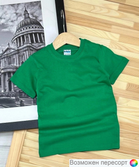 Футболка детская арт. 1522785