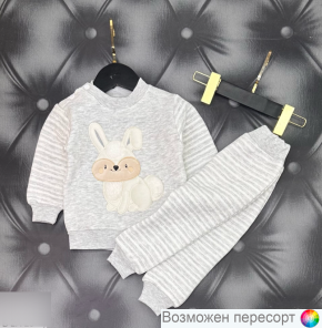 Костюм детский: свитшот и штаны (0-3 мес.) арт. 1563126