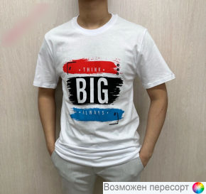 Футболка мужская арт. 1481765