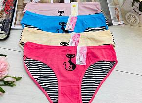 ����� ������� (4 ��.) ���. 1242668,  - 