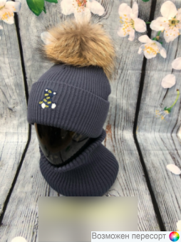  :    (2-6 ) . 1525054