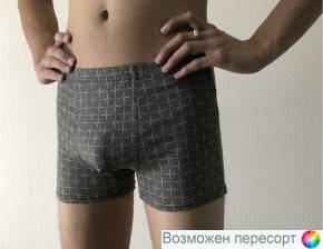 Трусы мужские арт. 1504431