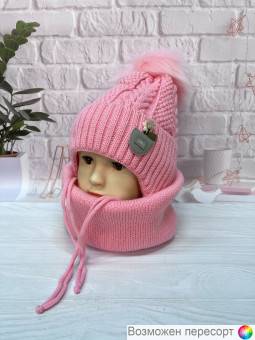  :      (2-6 ) . 1553982