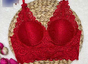 �����������-��� ������� ���. 1480169,  - 