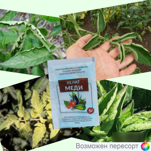  ����� ���� 5� ���. 1281541