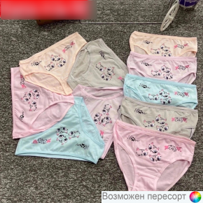 Трусы детские (10 шт.) арт. 1502690