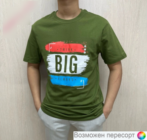 Футболка мужская арт. 1481767