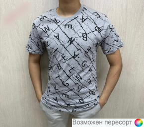 Футболка мужская арт. 1494401