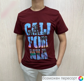 Футболка мужская арт. 1481939