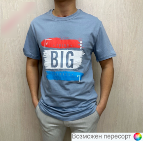 Футболка мужская арт. 1481763