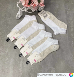   . 36-41 (5 ) . 1491509