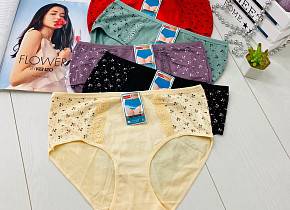 ����� ������� (5 ��.) ���. 1245184,  - 