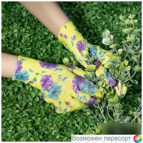 �������� ���������� � ��������� �������, 12 ��� ���. 1315318