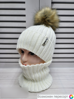  :      (5-15 ) . 1565528