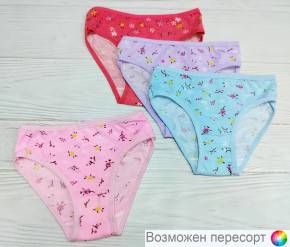 Трусы детские (5 шт.) арт. 1500454