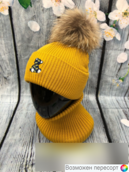  :    (2-6 ) . 1525097