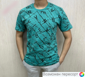 Футболка мужская арт. 1494409