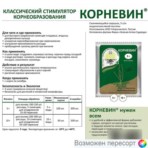 Корневин Вайлдберриз