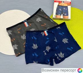Трусы мужские (2 шт.) арт. 1500425