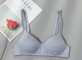 ����������� ������� ���. 1425387,  - 