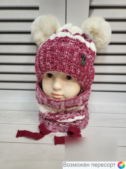  :    (2-5 ) . 1541488