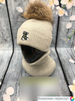  :    (2-6 ) . 1525084