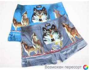 Трусы мужские (2 шт.) арт. 1515306