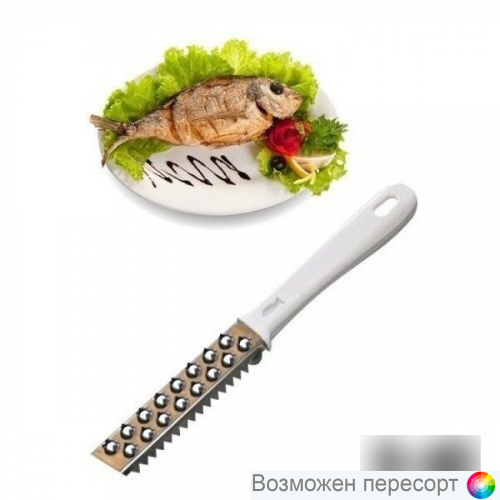 ��� ��� ������ ���� ���. 1270148