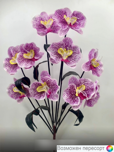 ����� ������������� ������ (59 ��.) ���. 1267842