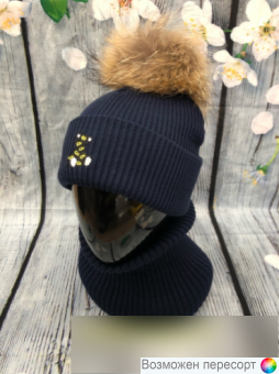  :    (2-6 ) . 1525099