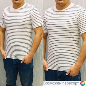 Футболка мужская арт. 1495248
