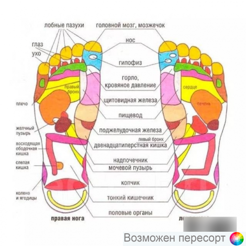 ������������ ��������� ������� (�. 44-45) ���. 1320431