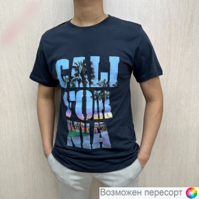 Футболка мужская арт. 1481938