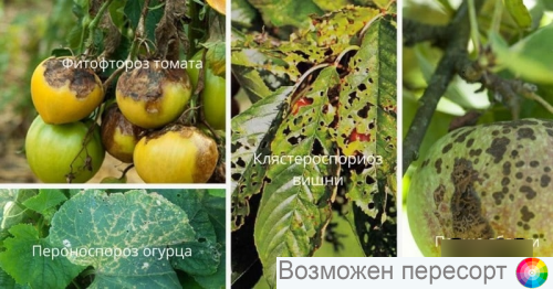 ��� 20� ���. 1281542