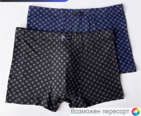Трусы мужские (2 шт.) арт. 1504425