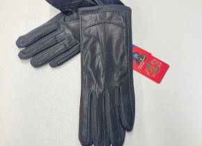     (free size) . 1540634,  - 