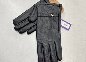   (free size) . 1546077,  - 