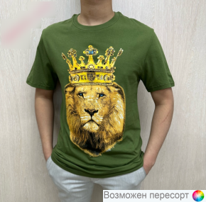 Футболка мужская арт. 1481824