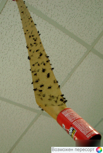 ����� �� ��� "������" ���. 1321779