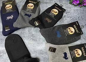    . 41-47 (5 ) . 1388804,  - 