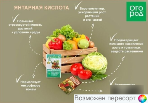 �������� �������, 2 � ���. 1281637