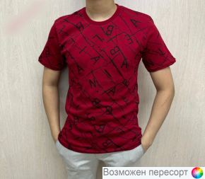 Футболка мужская арт. 1494403