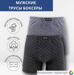 Трусы мужские (2 шт.) арт. 1504392