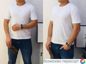 Футболка мужская арт. 1495266