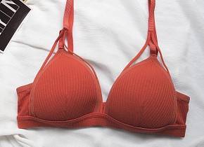 ����������� ������� ���. 1393095,  - 