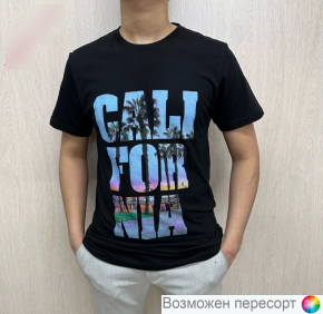 Футболка мужская арт. 1481928